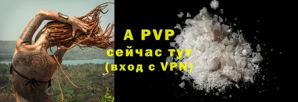 спиды Кодинск