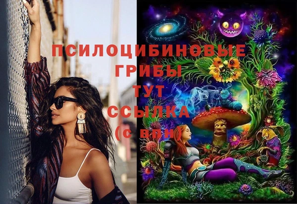 молекула духа Киреевск