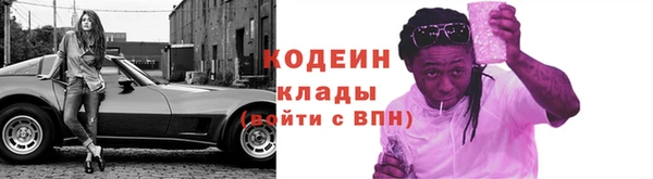 амф Козельск