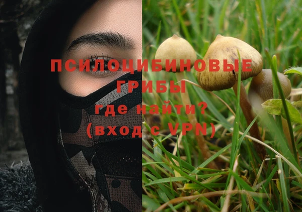 хмурый Карталы