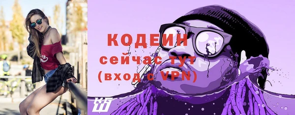 спиды Кодинск